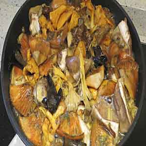 Setas_Soria Setas_Soria