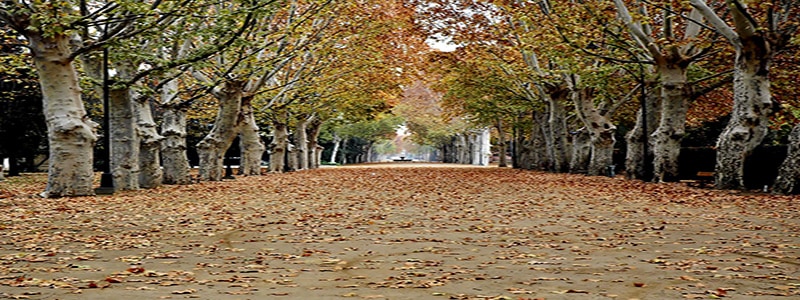 Parque Campos Eliseos de Lérida ¿Quieres conocerlo? - Ilutravel