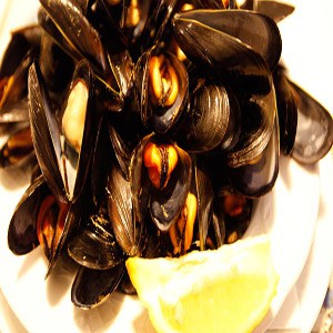 Mejillones Mejillones