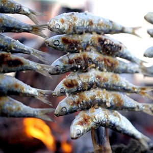 Espetos de Sardinas - Ilutravel.com Espetos de Sardinas