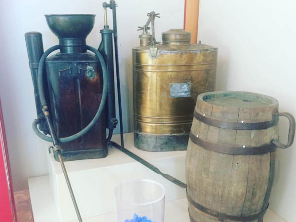 Museo del Vino de Cangas del Narcea 