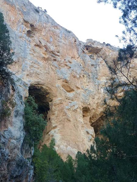 Cueva de los Anguijones de Santiago Pontones