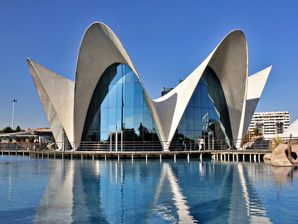 L'Oceanogràfic de Valencia - Sitios que visitar en Valencia capital del Turia - Ilutravel.com